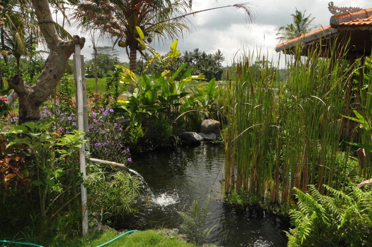 Отель Bali Sawah Indah Убуд Экстерьер фото