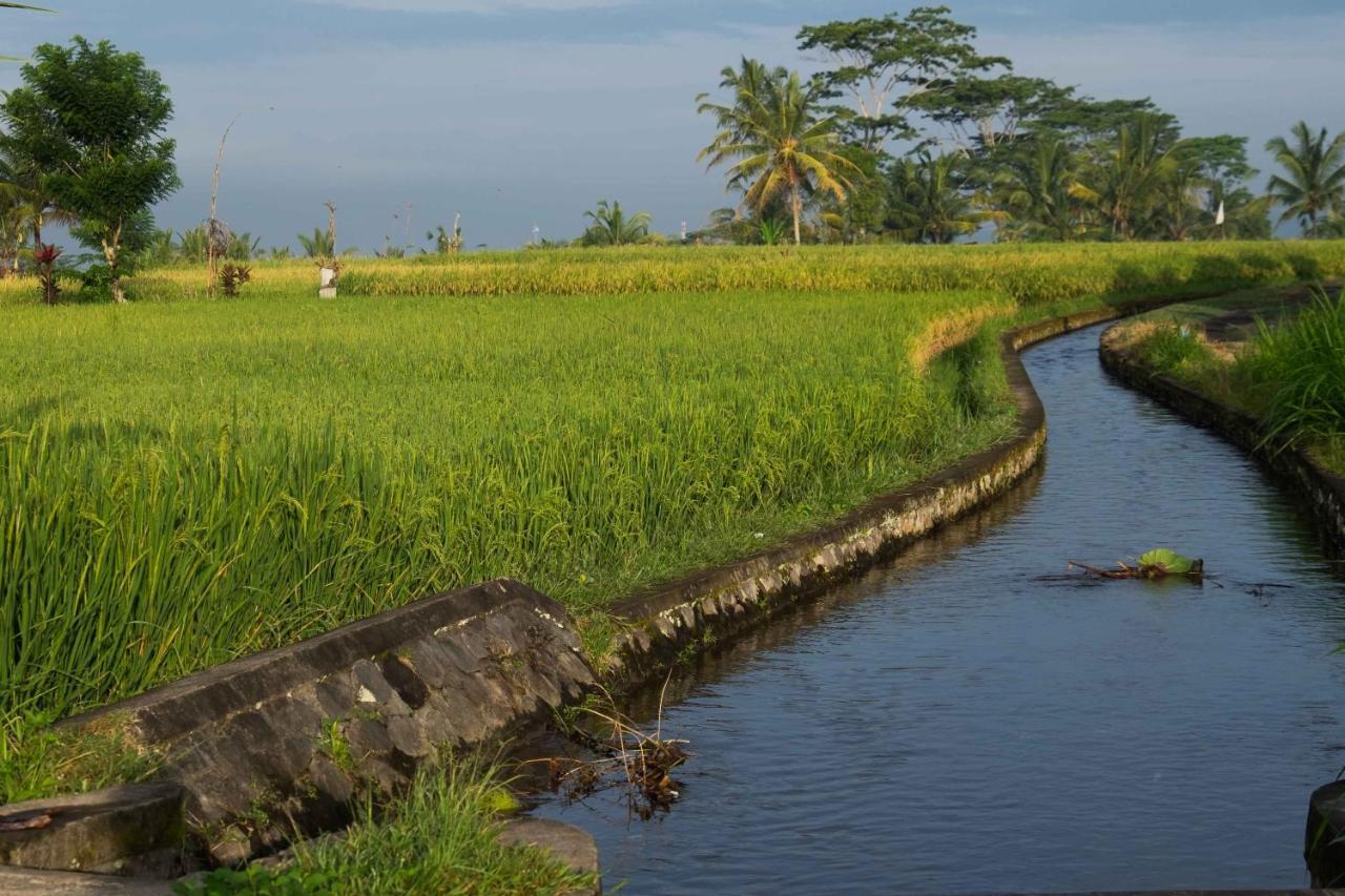Отель Bali Sawah Indah Убуд Экстерьер фото